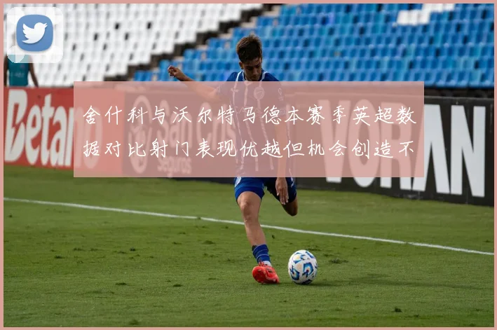 舍什科与沃尔特马德本赛季英超数据对比射门表现优越但机会创造不足
