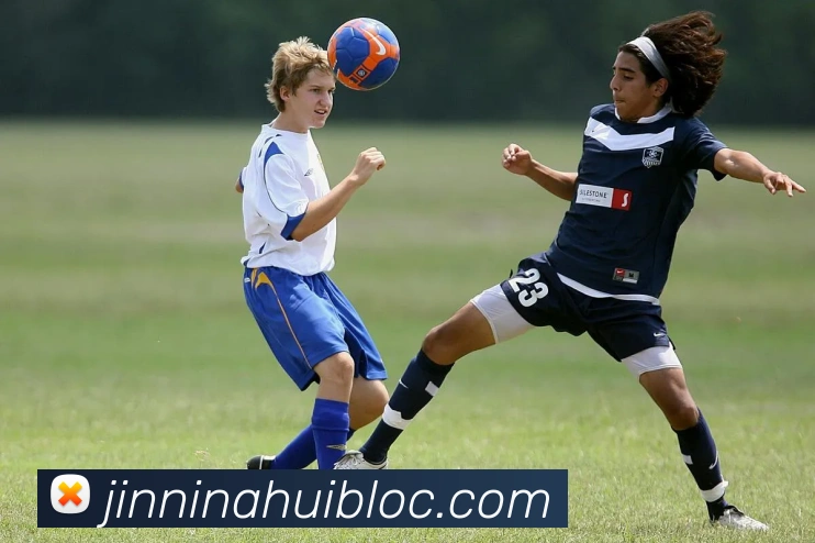 今年会官网平台生态图