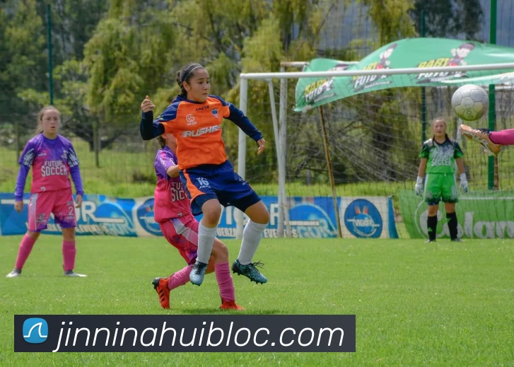 今年会官网全站App